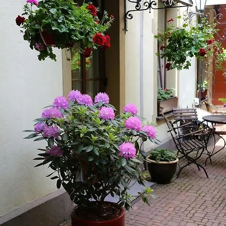 Old Boutique 